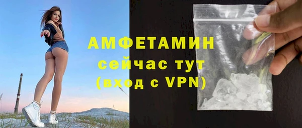 Альфа ПВП Бородино