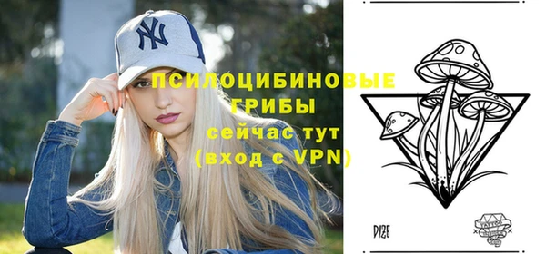 Альфа ПВП Бородино
