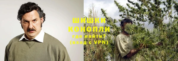 Альфа ПВП Бородино
